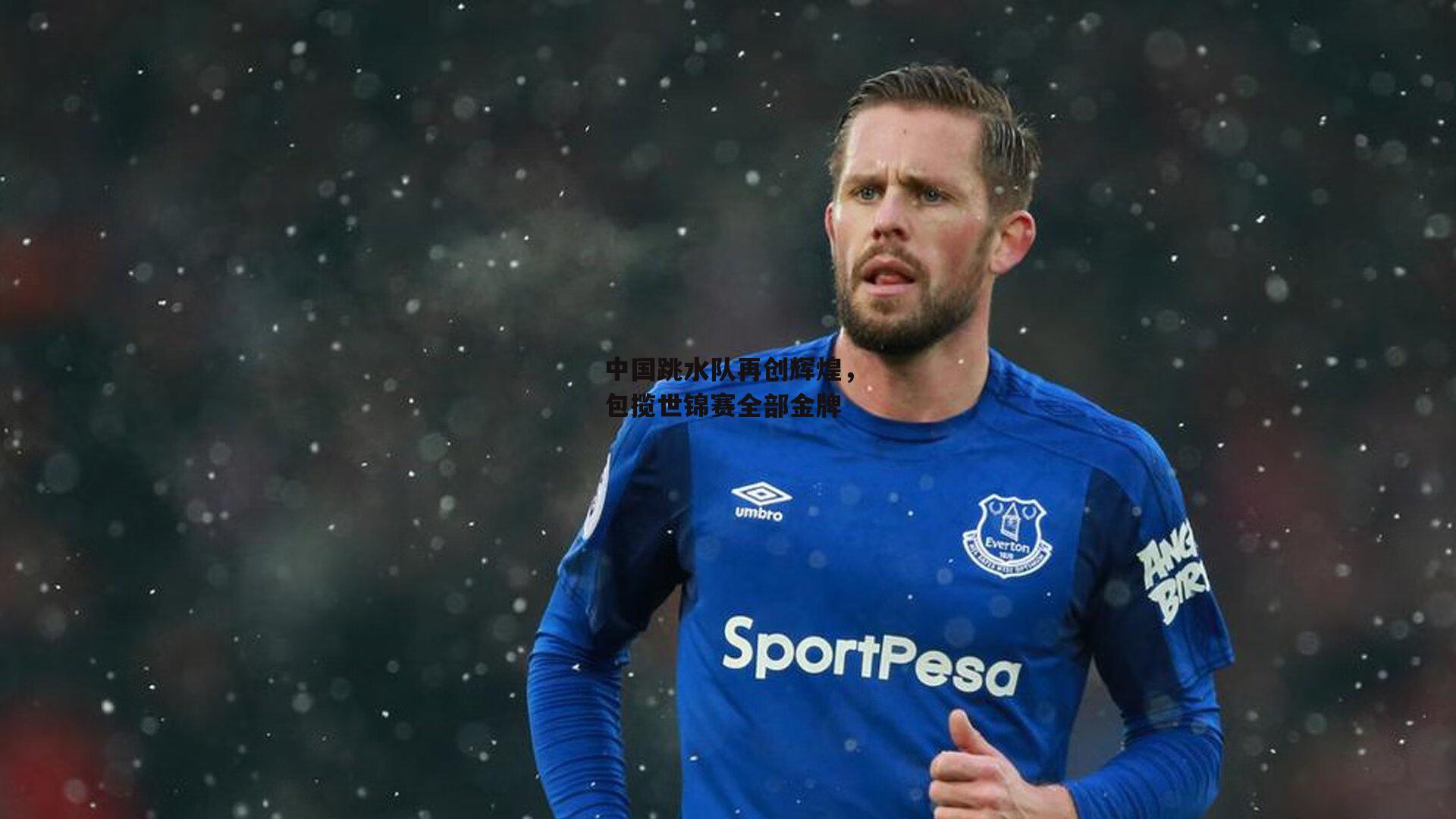 中国跳水队再创辉煌,包揽世锦赛全部金牌